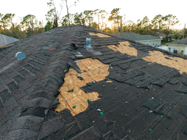 Best Commercial Roofing Services  in Springfield, VA